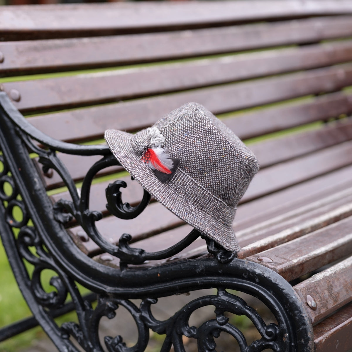 A gray tweed hat with a red feather rests on the arm of a black ornate metal and wooden park bench. The background is slightly blurred, suggesting an outdoor setting.